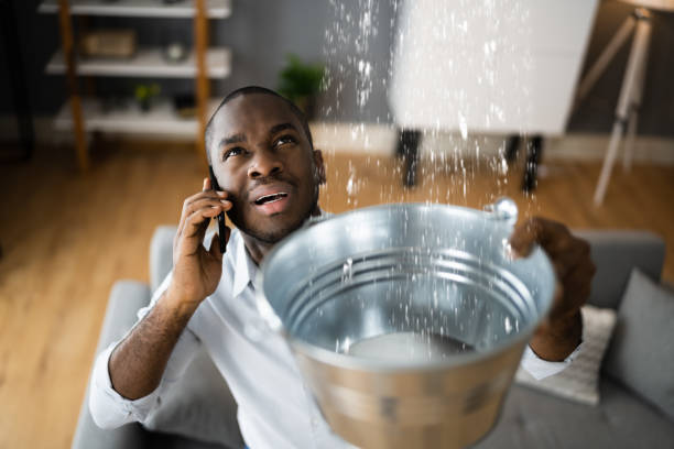 Best 24-hour water damage restoration  in Lexington, SC