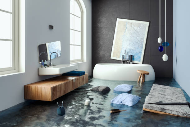 Best Mold removal after water damage  in Lexington, SC