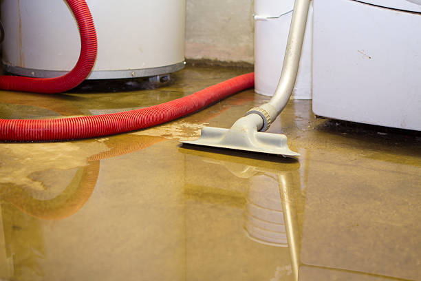 Trusted Lexington, SC Water damage restoration Experts