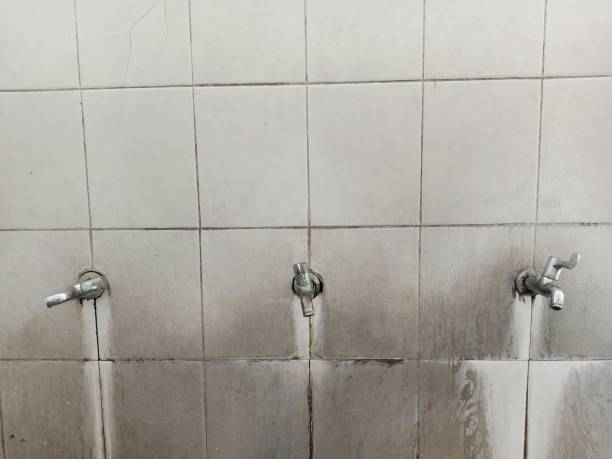 Professional Water damage restoration in Lexington, SC
