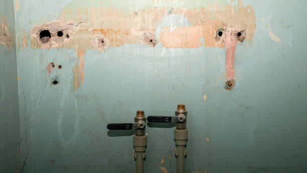 Best Water damage restoration near me  in Lexington, SC