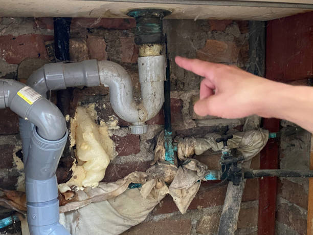 Best Water damage mitigation services  in Lexington, SC